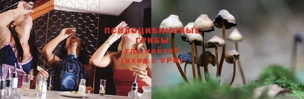 ГАЛЛЮЦИНОГЕННЫЕ ГРИБЫ Белоозёрский