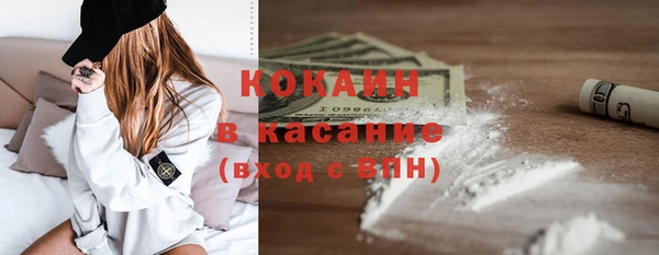 крисы Белокуриха