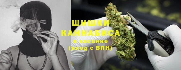 spice Беломорск