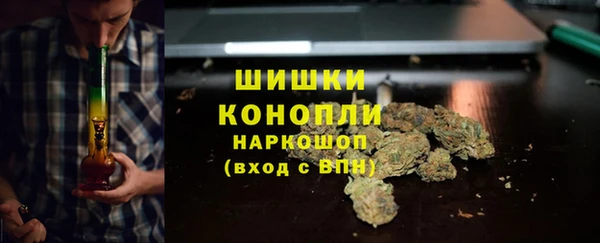 ГАЛЛЮЦИНОГЕННЫЕ ГРИБЫ Белоозёрский