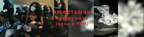 крисы Белокуриха