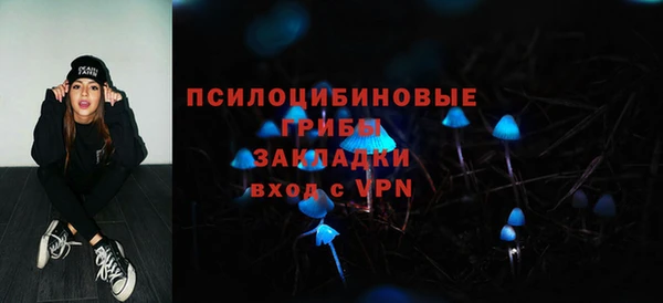 spice Беломорск