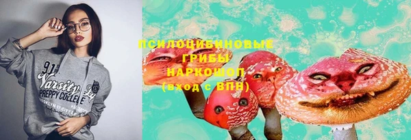 ГАЛЛЮЦИНОГЕННЫЕ ГРИБЫ Белоозёрский