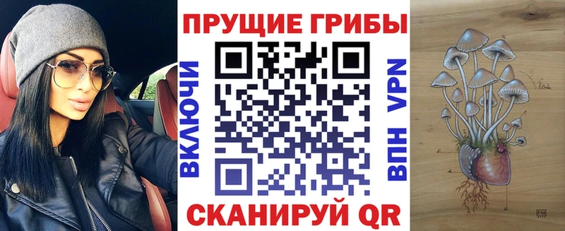 Псилоцибиновые грибы Cubensis  даркнет сайт  Староминская 